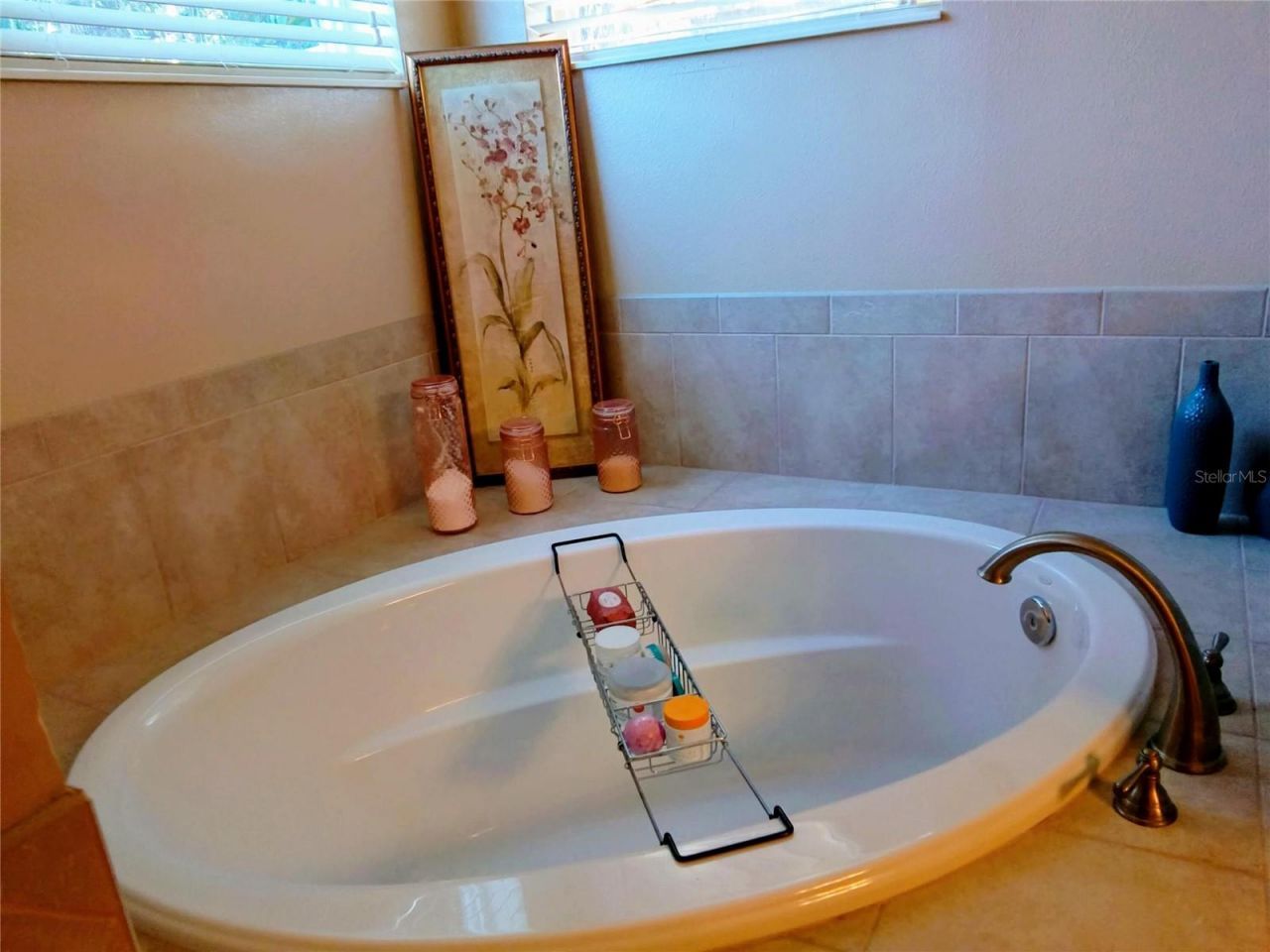 725 Auburn Preserve Boulevard, Auburndale, FL 33823 Photo