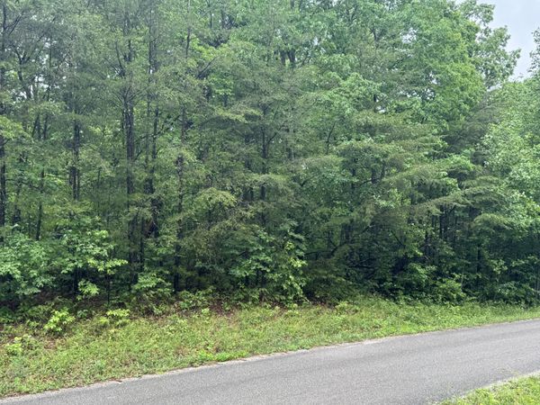 18 Avenue, Unit 6, Gruetli Laager, TN 37339