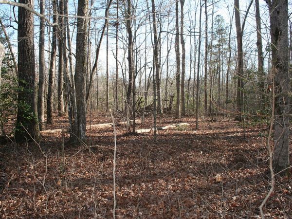 18 Avenue , Gruetli Laager, TN 37339