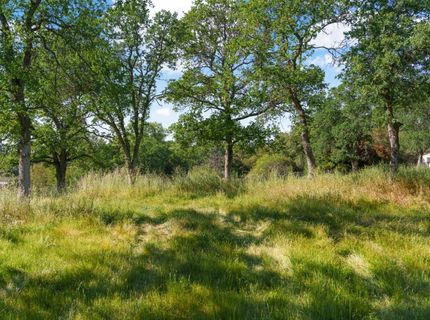 Vance Ln, Folsom, CA 95630 Photo