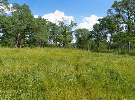 Vance Ln, Folsom, CA 95630 Photo