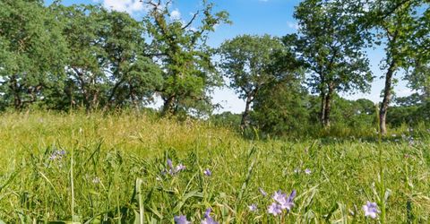 Vance Ln, Folsom, CA 95630 Photo