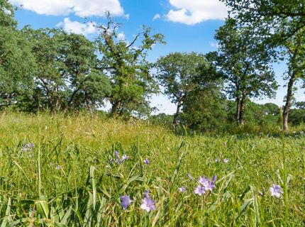 Vance Ln, Folsom, CA 95630 Photo