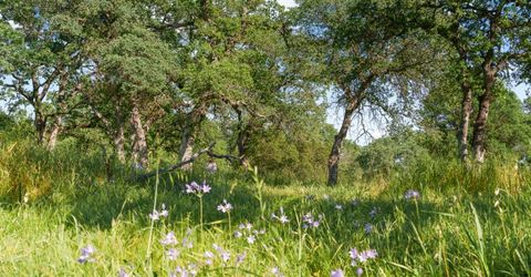 Vance Ln, Folsom, CA 95630 Photo