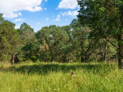 Vance Ln, Folsom, CA 95630 Photo