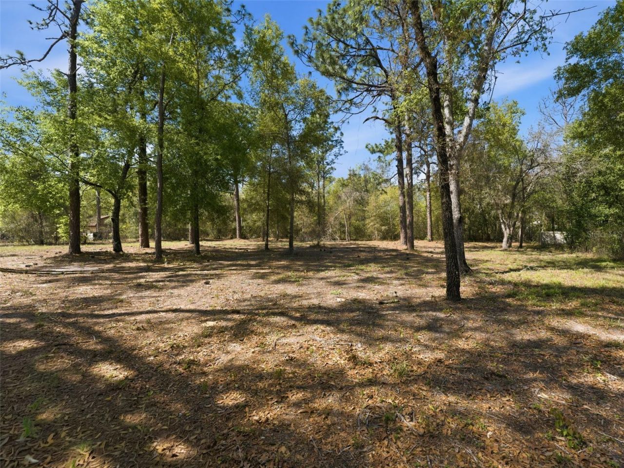 4025 Spring Park Way, Brooksville, FL 34604 Photo