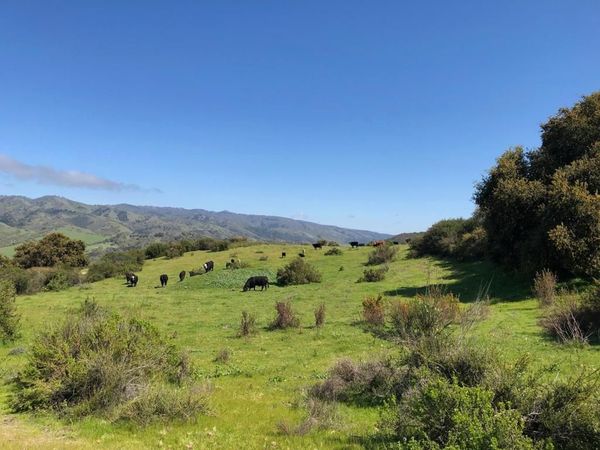 Creek Ranch, 36000 Carmel Valley Road, Carmel Valley, CA 93924