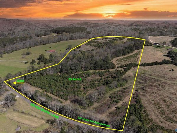 01 Seven Bark Lane, Oneonta, AL 35121