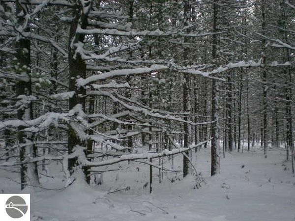 9 Fleetwood Court, Empire, MI 49630