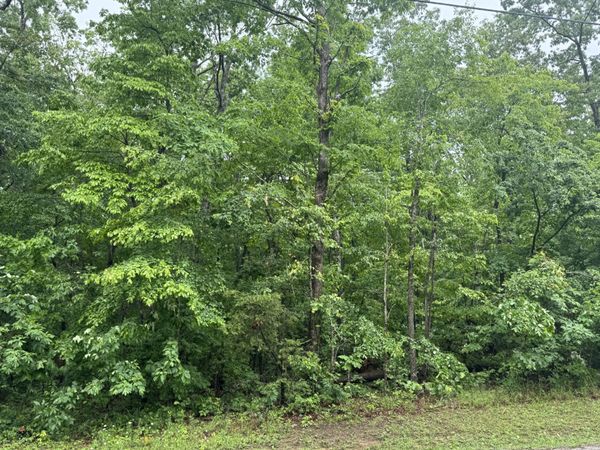 0 18th Avenue S, Unit 12, Gruetli Laager, TN 37339