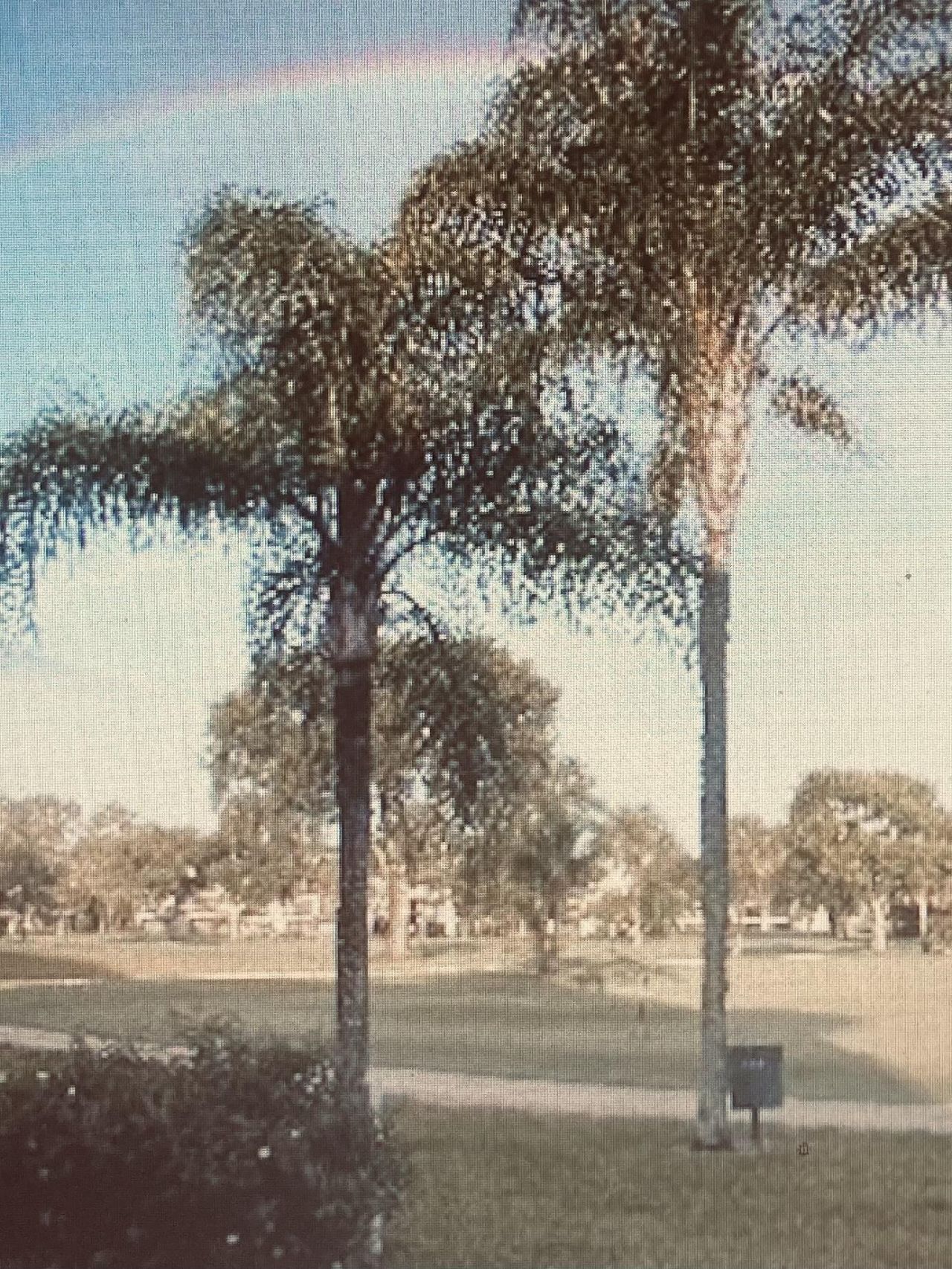 Please Call For Address, Tequesta, FL 33469 Photo