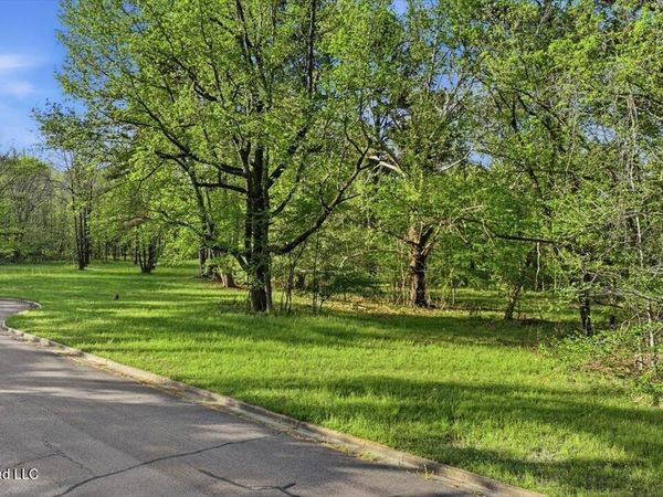 114 Bristol Court, Madison, MS 39110