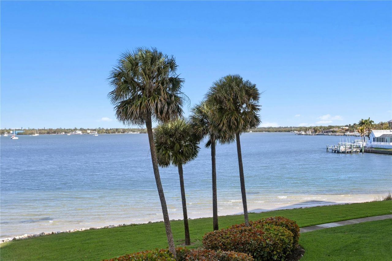 4717 Dolphin Cay Lane S, Unit 202, Saint Petersburg, FL 33711 Photo