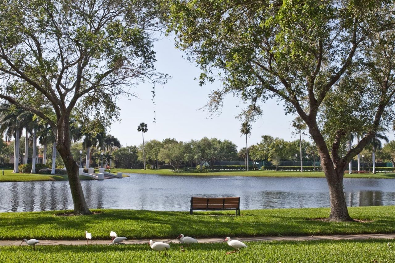 4717 Dolphin Cay Lane S, Unit 202, Saint Petersburg, FL 33711 Photo