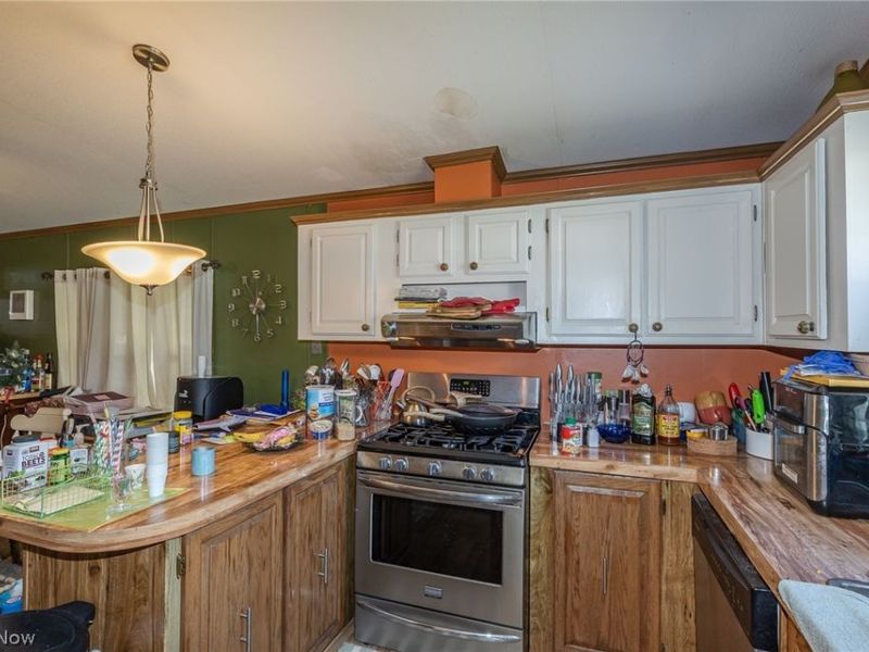 63 Parkway Drive, Olmsted Township, OH 44138 Photo 22