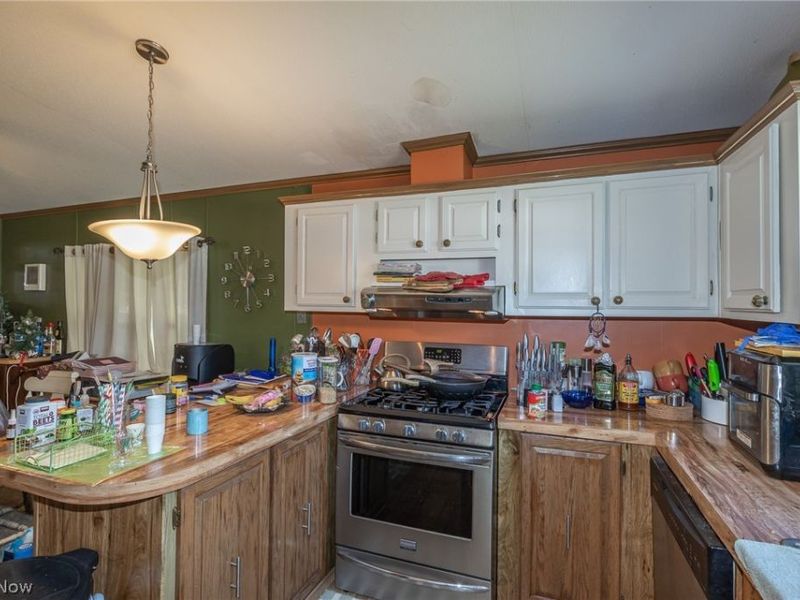 63 Parkway Drive, Olmsted Township, OH 44138 Photo 23