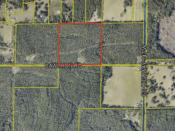 XX Cawthon Road, Laurel Hill, FL 32567