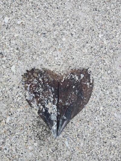 403 63rd Street, Holmes Beach, FL 34217 Photo