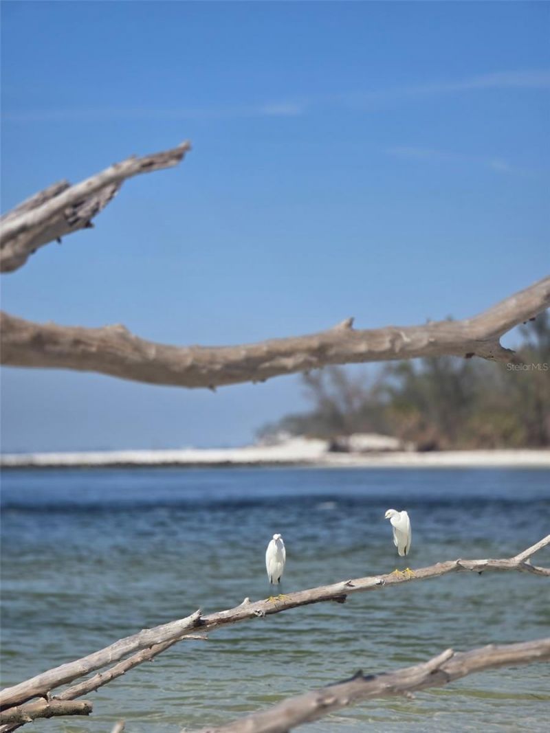 403 63rd Street, Holmes Beach, FL 34217 Photo