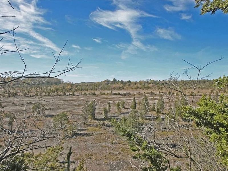 110 Pickerel, Kelleys Island, OH 43438 Photo 47