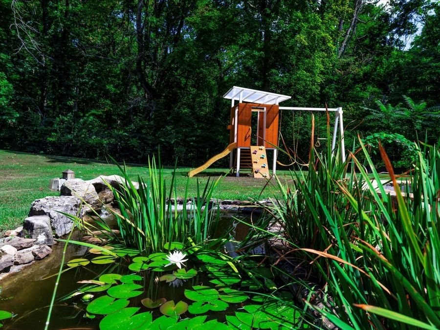 Property Image 74