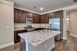 923 Taramore Lane photo 4