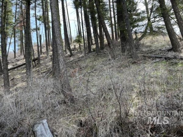 TBD State Highway 129, Anatone, WA 99401