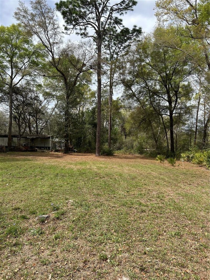 4th Street, Altoona, FL 32702 Photo