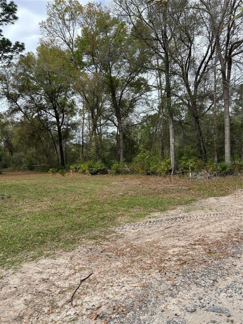 4th Street, Altoona, FL 32702 Photo