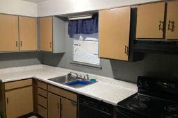 251 Rast St  photo 4