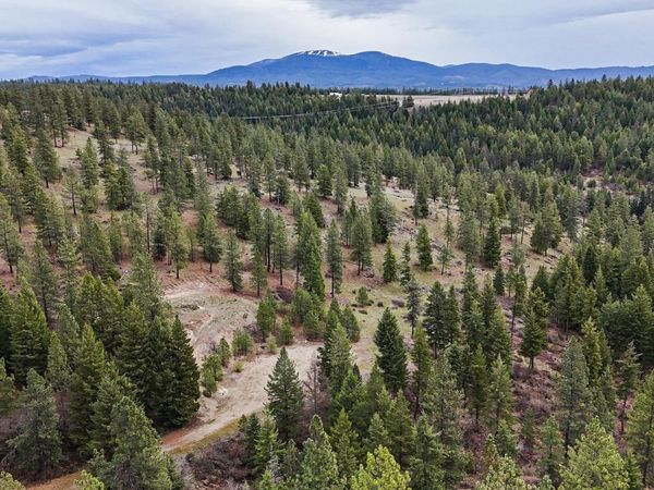 Lot 29 Barbi Ct, Chattaroy, WA 99003