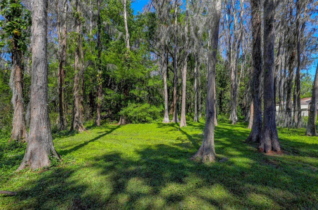 16206 Sagebrush Road, Tampa, FL 33618 Photo