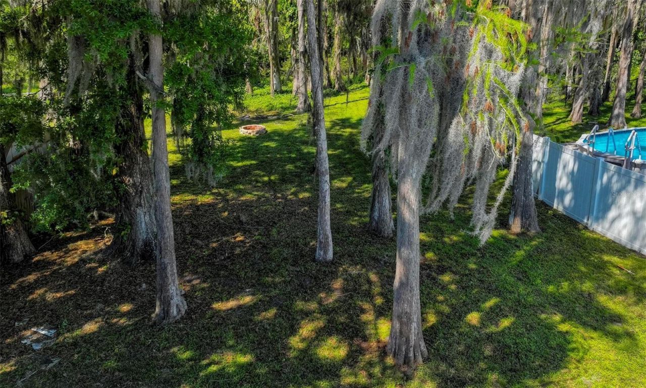 16206 Sagebrush Road, Tampa, FL 33618 Photo