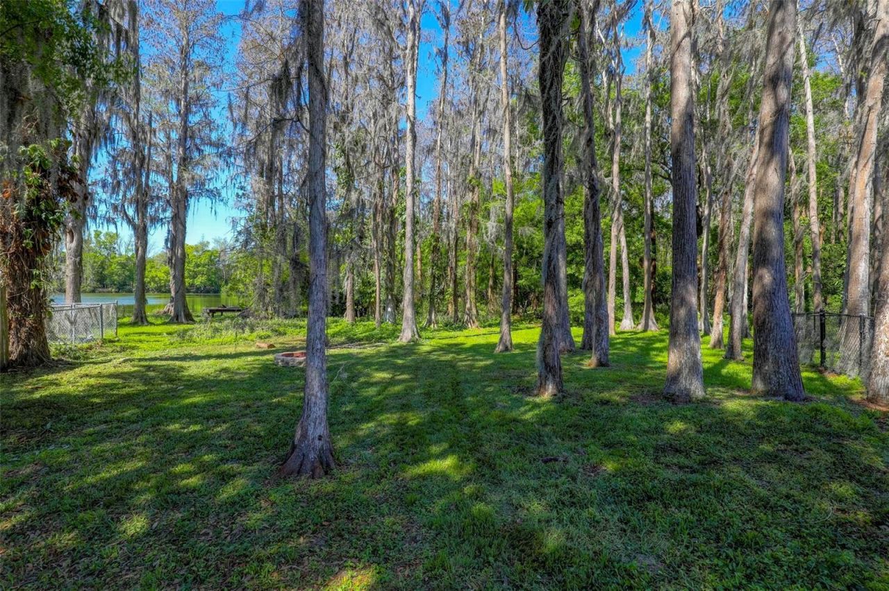 16206 Sagebrush Road, Tampa, FL 33618 Photo