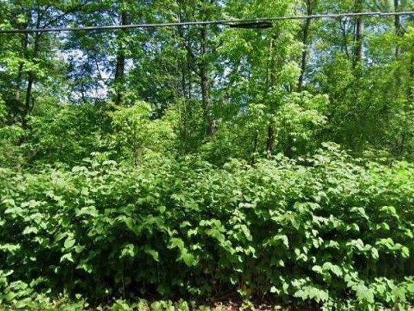 1401 Burlington Beach Road, Valparaiso, IN 46383