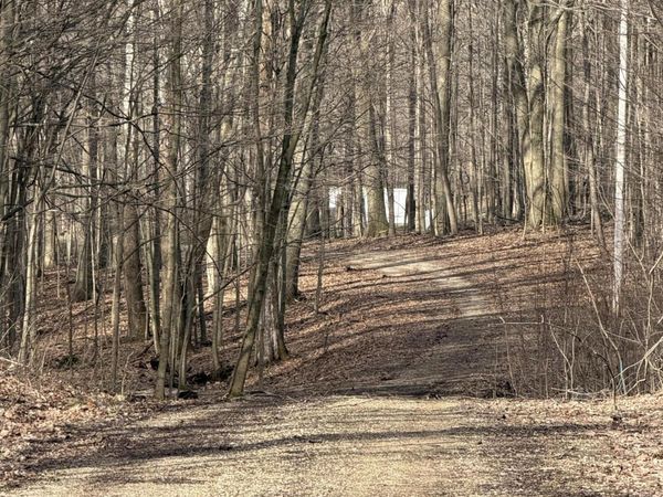 V/L 38th Street, Gobles, MI 49055