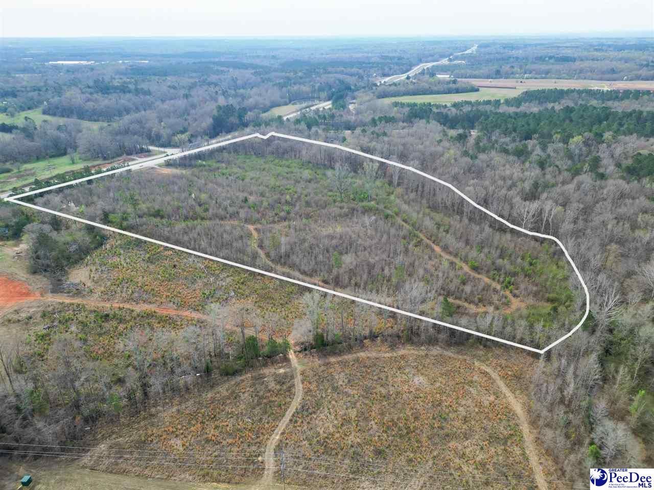 4338 Hwy 151 Photo 10