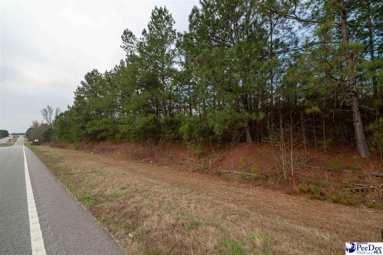 4338 Hwy 151 Photo 11