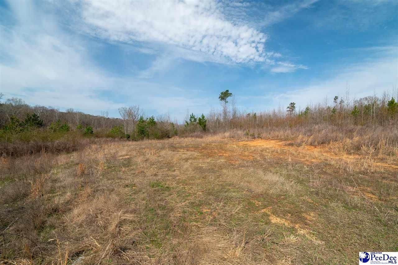 4338 Hwy 151 Photo 12