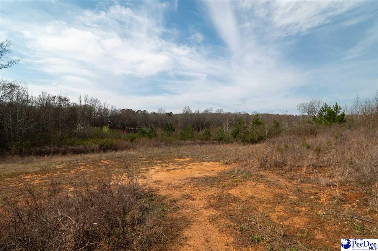 4338 Hwy 151 Photo 13