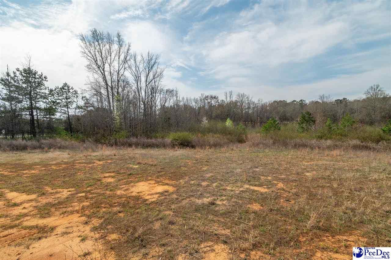 4338 Hwy 151 Photo 14