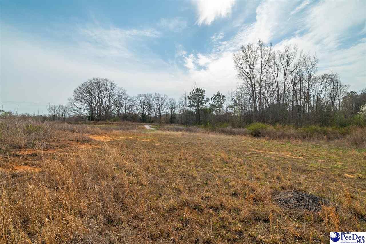 4338 Hwy 151 Photo 15