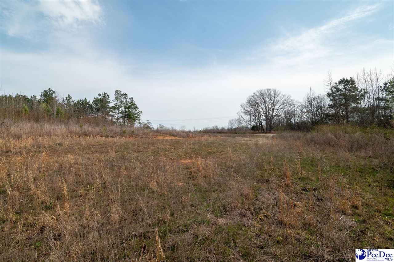 4338 Hwy 151 Photo 16