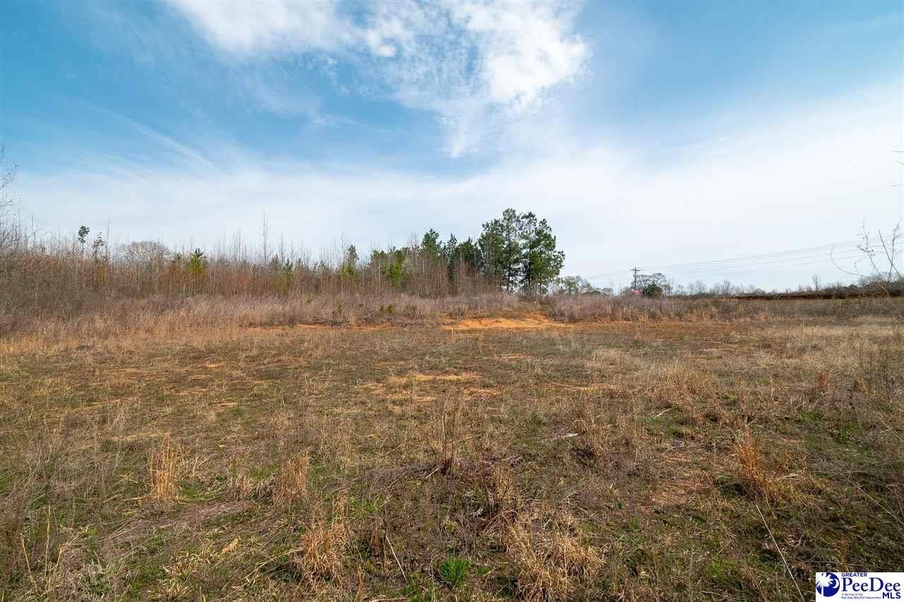 4338 Hwy 151 Photo 17