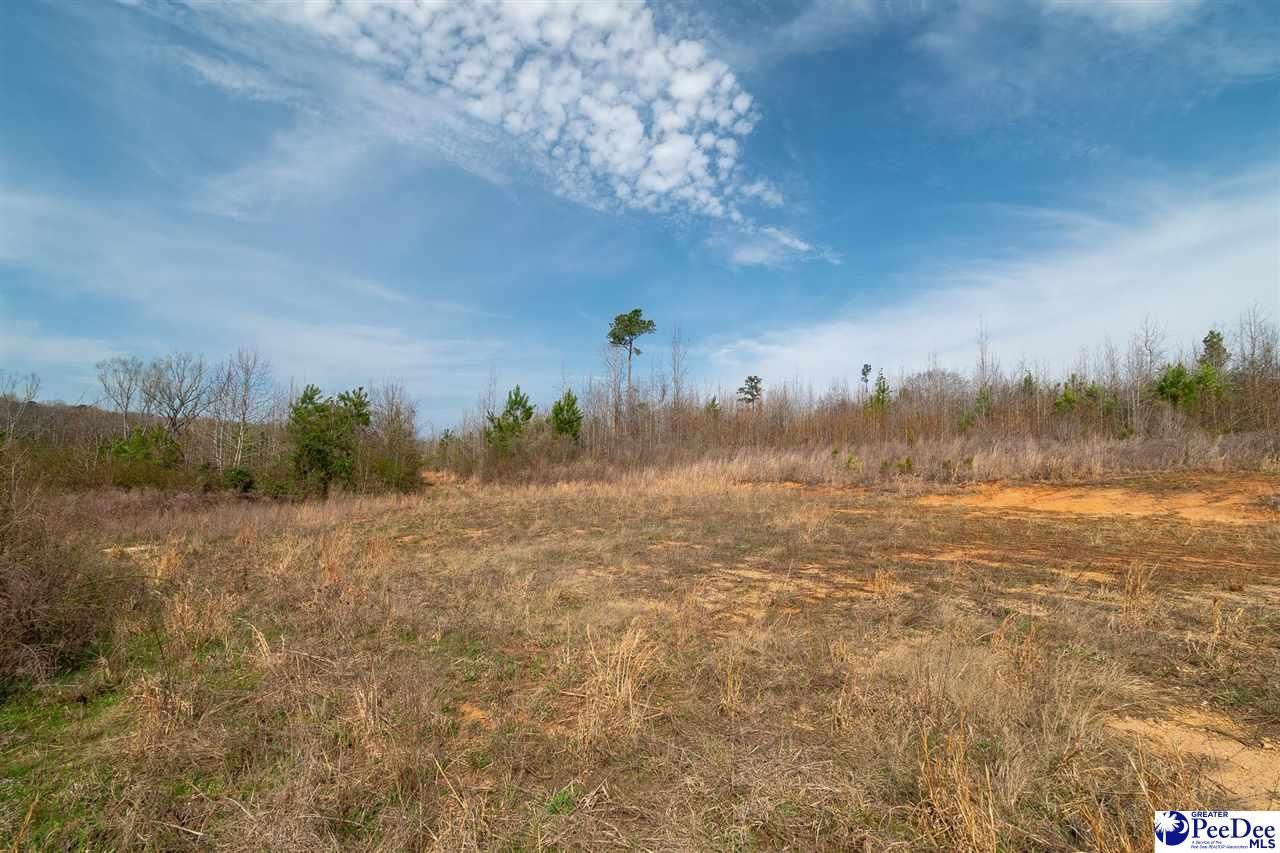 4338 Hwy 151 Photo 18