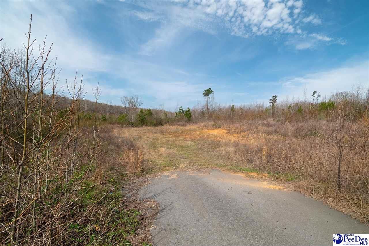 4338 Hwy 151 Photo 19