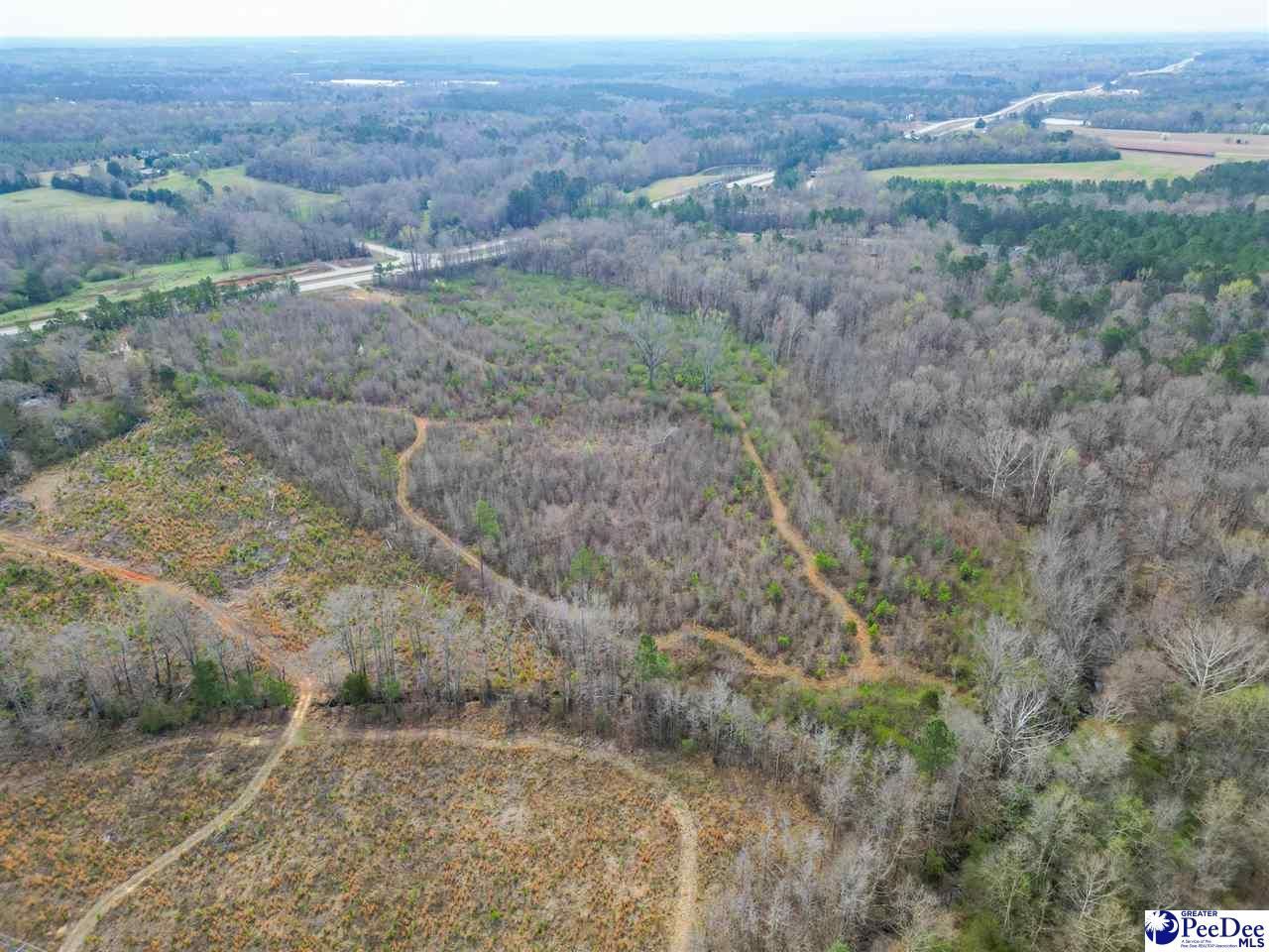 4338 Hwy 151 Photo 34