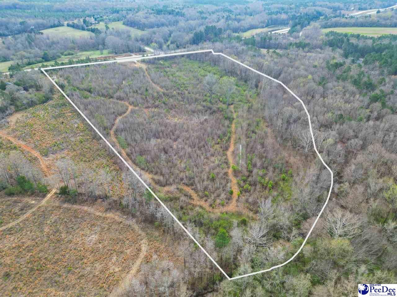 4338 Hwy 151 Photo 9