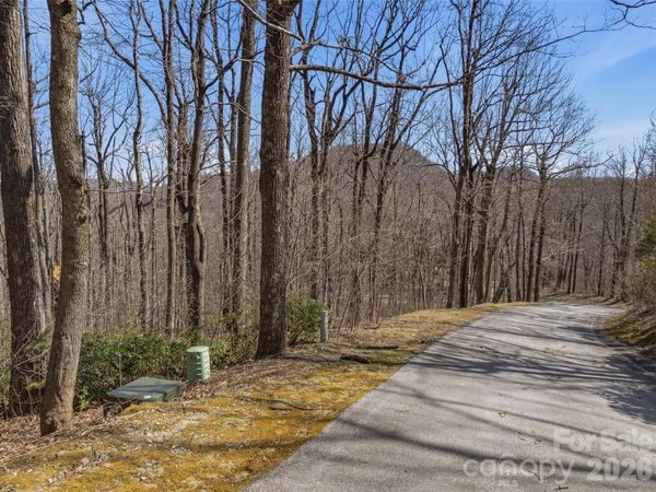 TBD Wild Magnolia Way , Zirconia, NC 28790