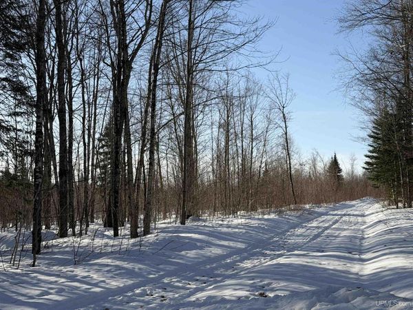 56 Acres Halverson Road, Skandia Twp, MI 49885
